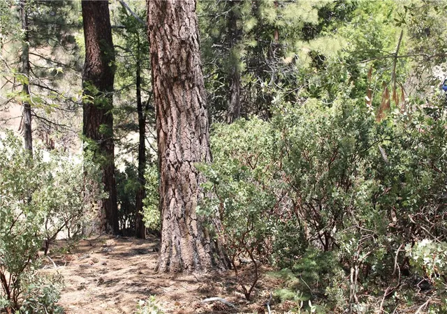 2nd image of 8 Big Rock Dr, Idyllwild, CA 92549 | MLS# SW26099922