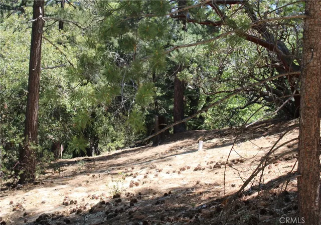 Photo 3 of Land for sale at 8 Big Rock Dr, Idyllwild, CA 92549 | MLS# SW26099922 | Listing updated on 2026-05-18