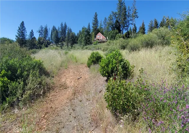 1st image of 9334 Bleuss Wy, Cobb, CA 95426 | MLS# LC26106525