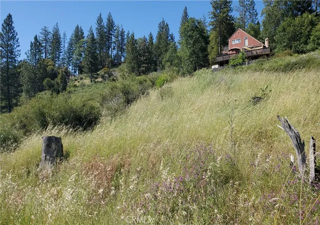 Photo 3 of Land for sale at 9334 Bleuss Way, Cobb, CA 95426 | MLS# LC26106525 | Listing updated on 2026-09-11