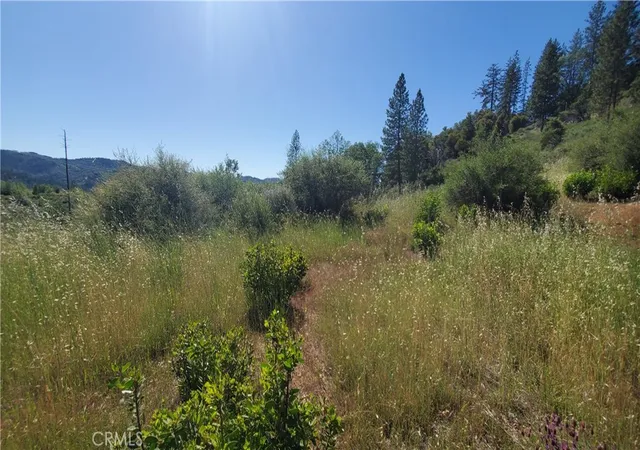 Photo 3 of Land for sale at 9334 Bleuss Way, Cobb, CA 95426 | MLS# LC26106525 | Listing updated on 2026-09-11