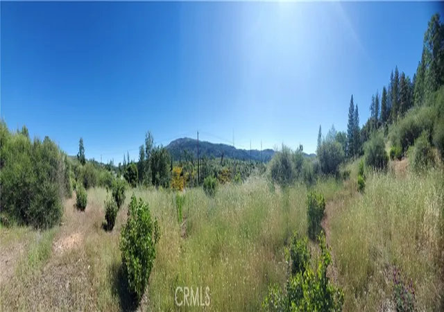 8th image of 9334 Bleuss Wy, Cobb, CA 95426 | MLS# LC26106525
