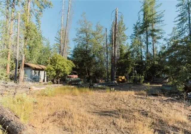1st image of 10902 Stout Ln, Coulterville, CA 95311 | MLS# MC26108295
