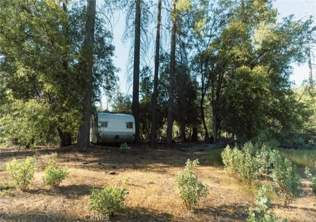 2nd image of 10902 Stout Ln, Coulterville, CA 95311 | MLS# MC26108295