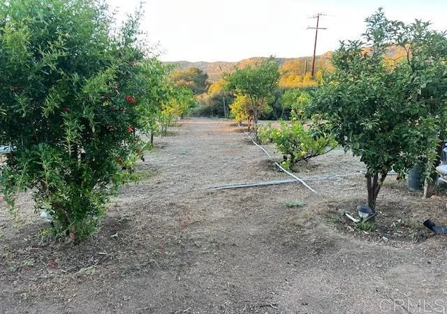 5th image of 2526 Forest Park Rd, Jamul, CA 91935 | MLS# PTP2603824