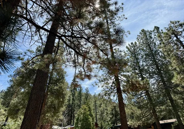 Homes for sale in Pine Mountain Club, CA | 1716 Lassen Wy, Pine Mountain Club, CA 93222 | MLS# V1-36487