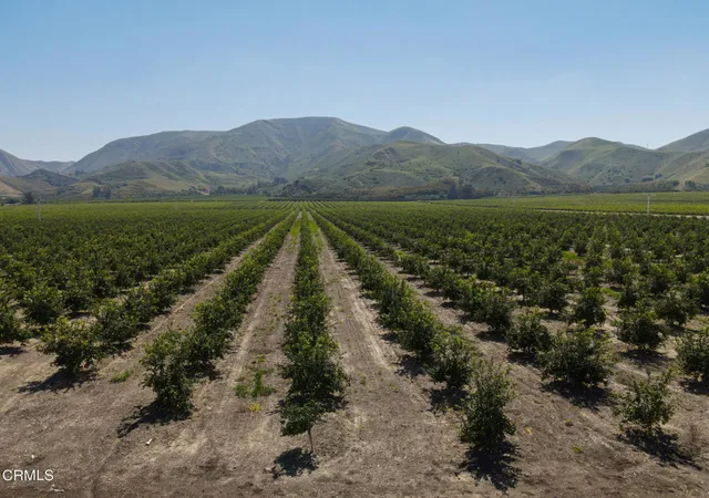 Photo 3 of Land for sale at 2417 S Mountain Rd, Fillmore, CA 93015 | MLS# V1-36500 | Listing updated on 2026-05-19