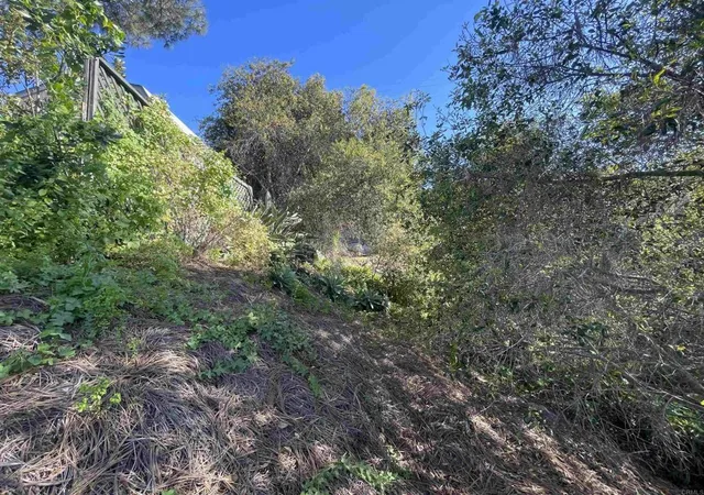 24th image of 0 El Granito Ave, La Mesa, CA 91941 | MLS# PTP2603841