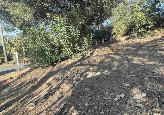3rd image of 0 El Granito Ave, La Mesa, CA 91941 | MLS# PTP2603841