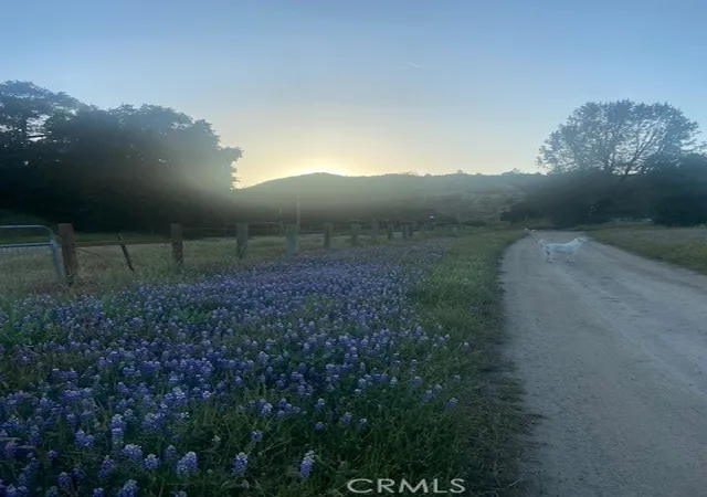68th image of 1575 Parkhill Rd, Santa Margarita, CA 93453 | MLS# NS26109447