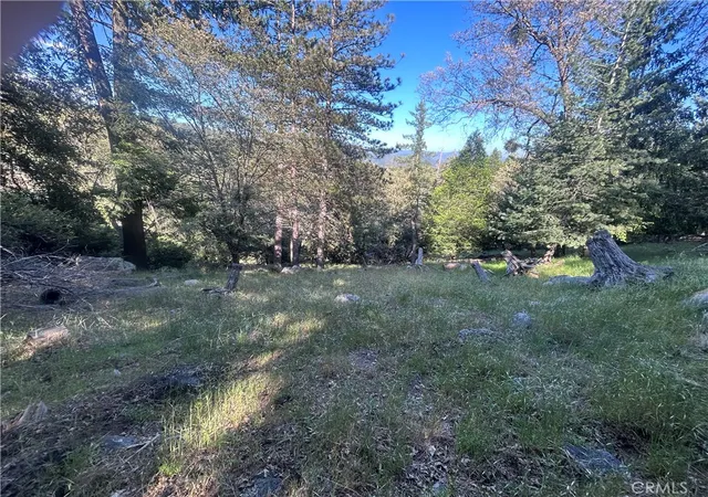 Homes for sale in Cedarpines Park, CA | 342 Canyon Dr, Cedarpines Park, CA 92322 | MLS# DW26110133