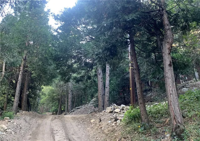 Homes for sale in Cedarpines Park, CA | 342 Canyon Dr, Cedarpines Park, CA 92322 | MLS# DW26110133