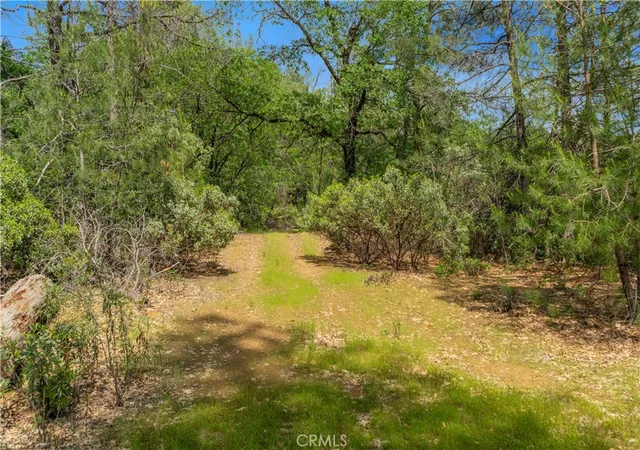 5th image of 19753 Bonnie Vista, Lakehead, CA 96051 | MLS# CV26092154