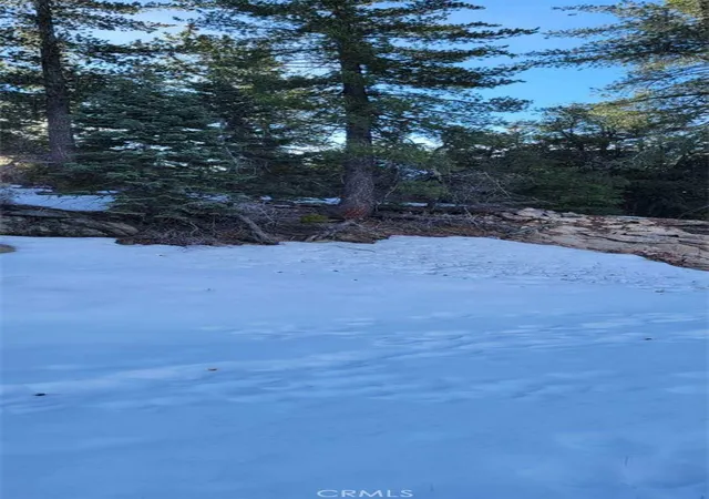 7th image of 0 No Assigned, Arrowbear, CA 92382 | MLS# IG26110379