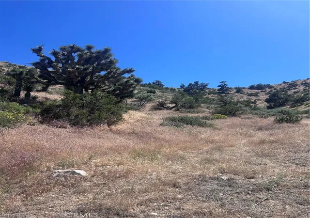 11th image of 0 Jack Frost, Pinon Hills, CA 92372 | MLS# HD26108888