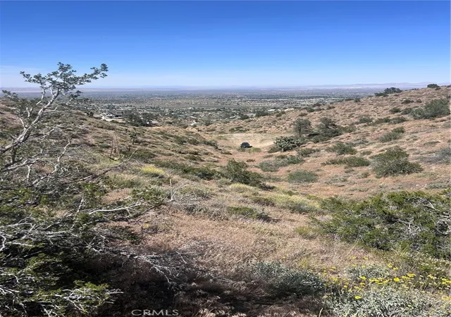 1st image of 0 Jack Frost, Pinon Hills, CA 92372 | MLS# HD26108888