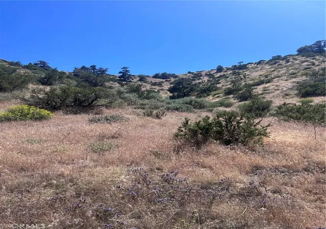 2nd image of 0 Jack Frost, Pinon Hills, CA 92372 | MLS# HD26108888