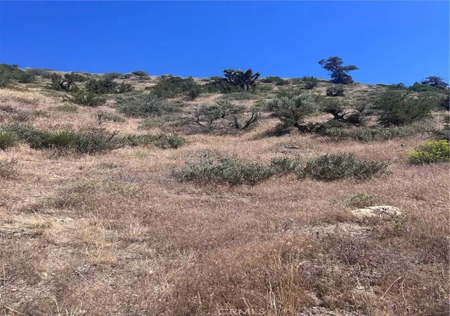 3rd image of 0 Jack Frost, Pinon Hills, CA 92372 | MLS# HD26108888