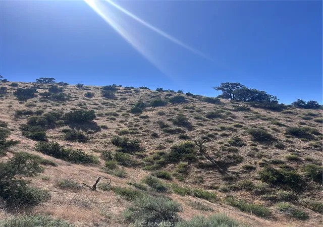 5th image of 0 Jack Frost, Pinon Hills, CA 92372 | MLS# HD26108888
