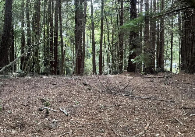 4th image of 0 Amethyst St, Fort Bragg, CA 95437 | MLS# C1-11397