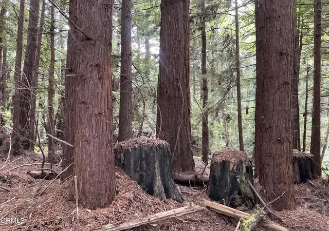 5th image of 0 Amethyst St, Fort Bragg, CA 95437 | MLS# C1-11397