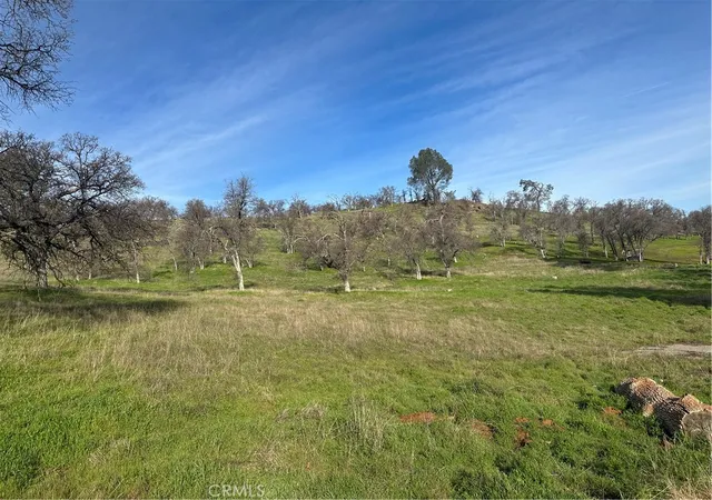1st image of 3228 Wild Rose Ct, Catheys Valley, CA 95306 | MLS# MP26110209