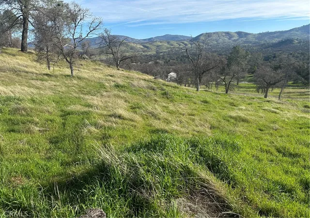 5th image of 3228 Wild Rose Ct, Catheys Valley, CA 95306 | MLS# MP26110209