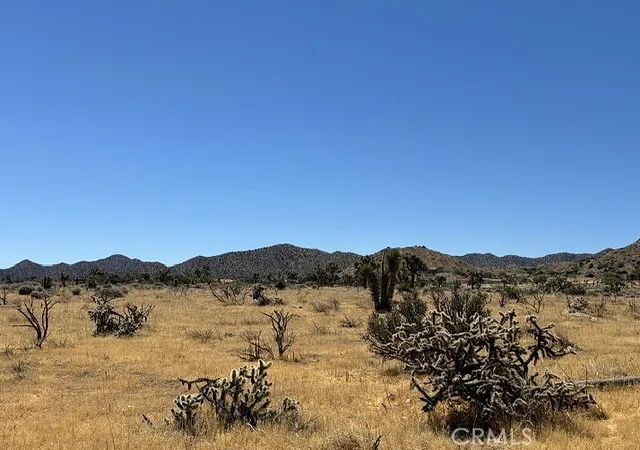 2nd image of 58225 San Andreas Rd, Yucca Valley, CA 92284 | MLS# JT26110844