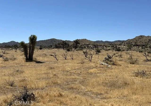 4th image of 58225 San Andreas Rd, Yucca Valley, CA 92284 | MLS# JT26110844