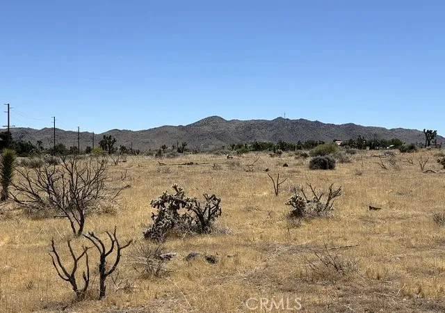 5th image of 58225 San Andreas Rd, Yucca Valley, CA 92284 | MLS# JT26110844