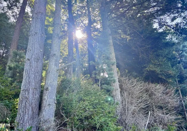 1st image of 15301 Forest View Rd, Manchester, CA 95459 | MLS# C1-11399