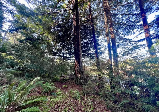 2nd image of 15301 Forest View Rd, Manchester, CA 95459 | MLS# C1-11399