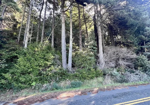 3rd image of 15301 Forest View Rd, Manchester, CA 95459 | MLS# C1-11399