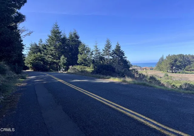 4th image of 15301 Forest View Rd, Manchester, CA 95459 | MLS# C1-11399