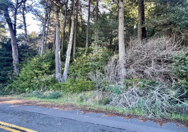 5th image of 15301 Forest View Rd, Manchester, CA 95459 | MLS# C1-11399