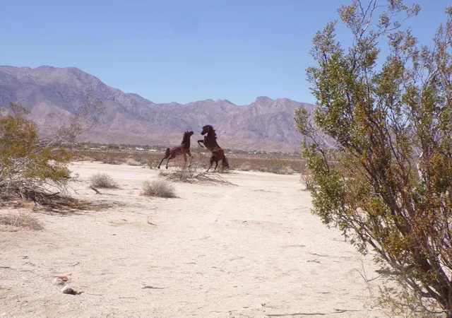 1st image of 0 Borrego Valley Road, Borrego Springs, CA 92004 | MLS# 260012347SD