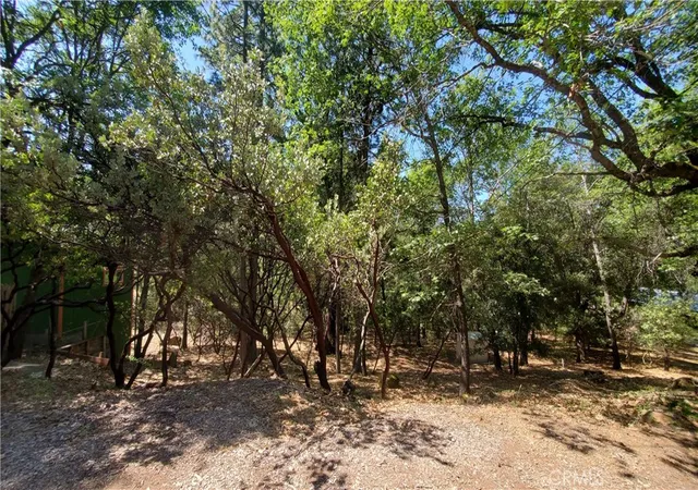 image of 11545 Loch Lomond Rd, Middletown, CA 95461 | MLS# LC26109052