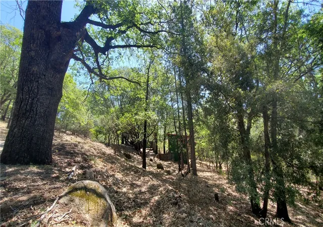 image of 11545 Loch Lomond Rd, Middletown, CA 95461 | MLS# LC26109052