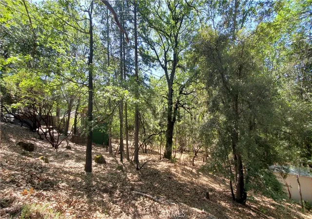 image of 11545 Loch Lomond Rd, Middletown, CA 95461 | MLS# LC26109052