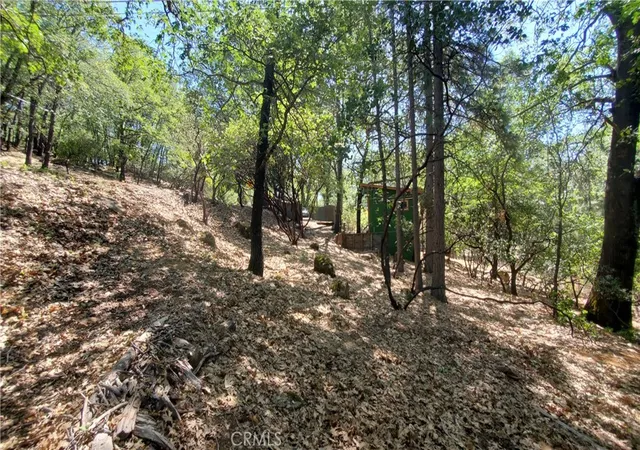image of 11545 Loch Lomond Rd, Middletown, CA 95461 | MLS# LC26109052