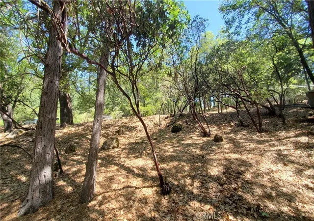 image of 11545 Loch Lomond Rd, Middletown, CA 95461 | MLS# LC26109052