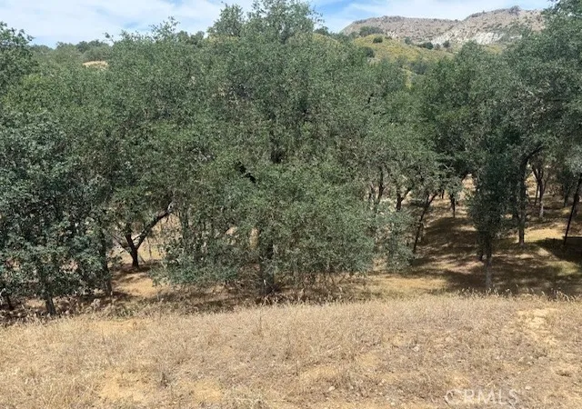 3rd image of 2463 Captains Walk, Bradley, CA 93426 | MLS# NS26111184