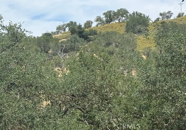 5th image of 2463 Captains Walk, Bradley, CA 93426 | MLS# NS26111184