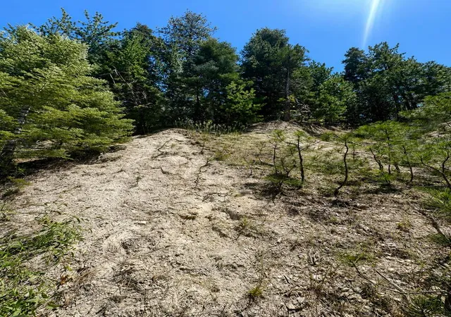 Photo 3 of Land for sale at 0 Grass Valley Rd, Lake Arrowhead, CA 92352 | MLS# 219148186DA | Listing updated on 2026-05-21