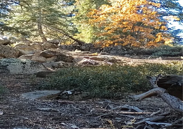 2nd image of 0 Cherry, Big Bear Lake, CA 92315 | MLS# SW26111449