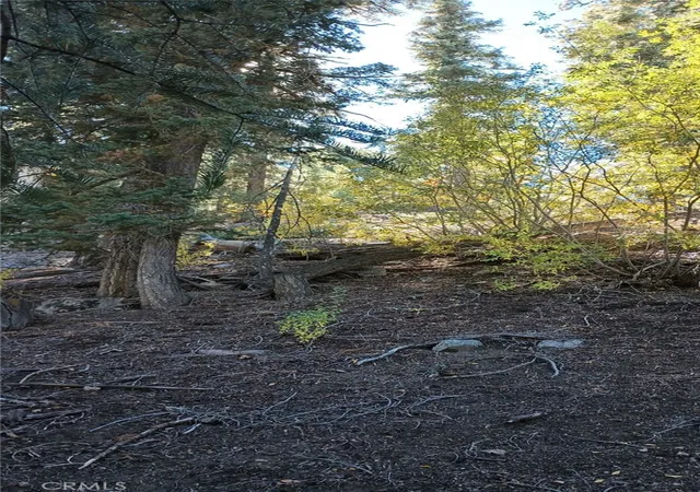 3rd image of 0 Cherry, Big Bear Lake, CA 92315 | MLS# SW26111449