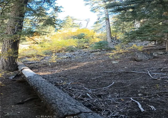 4th image of 0 Cherry, Big Bear Lake, CA 92315 | MLS# SW26111449