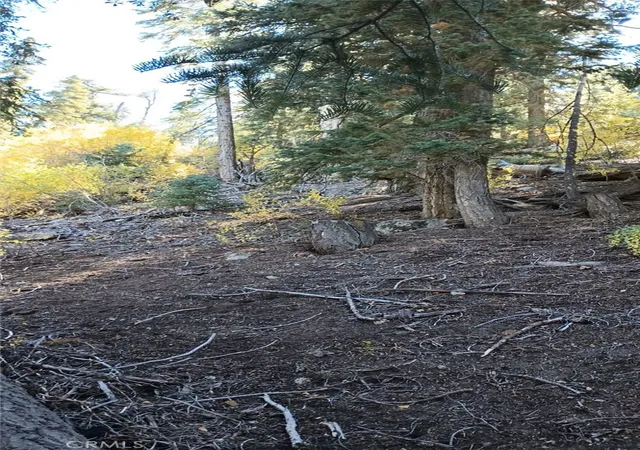 5th image of 0 Cherry, Big Bear Lake, CA 92315 | MLS# SW26111449