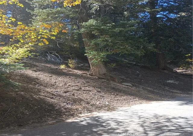 7th image of 0 Cherry, Big Bear Lake, CA 92315 | MLS# SW26111449