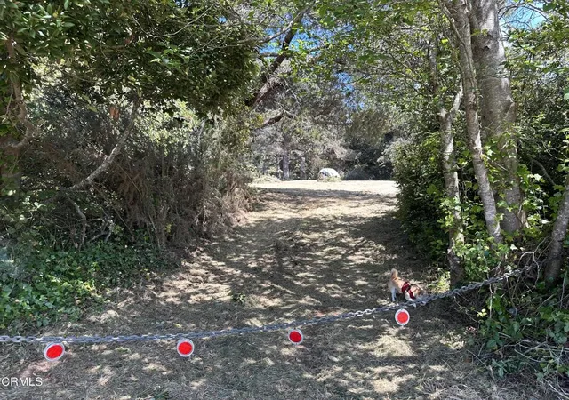 Homes for sale in Fort Bragg, CA | 0 Pine Dr, Fort Bragg, CA 95437 | MLS# C1-11402